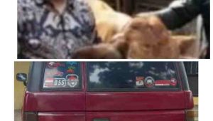 PhotoGrid_Plus_1664632524341(1)