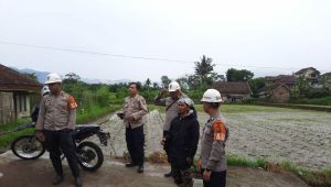 IMG-20221119-WA0174