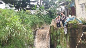 IMG-20221120-WA0138(1)