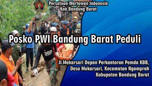 IMG-20221123-WA0234(1)