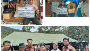 PhotoGrid_Plus_1669510025092(1)