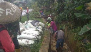 IMG-20221203-WA0032(1)