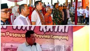 IMG-20221212-WA0166(1)