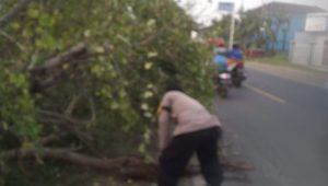 IMG-20221221-WA0200