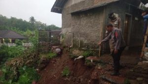 IMG-20221223-WA0011