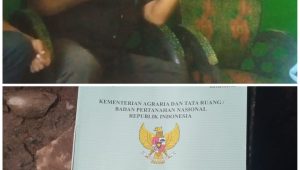 IMG-20221230-WA0044