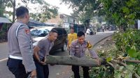 IMG-20230107-WA0170(1)