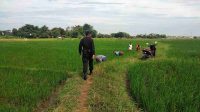 IMG-20230108-WA0071(1)