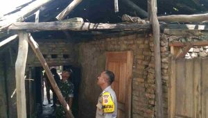 IMG-20230109-WA0100(1)