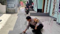 IMG-20230110-WA0176(1)