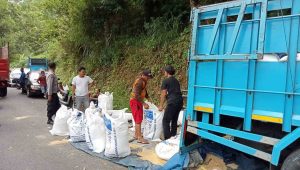 IMG-20230117-WA0195(1)