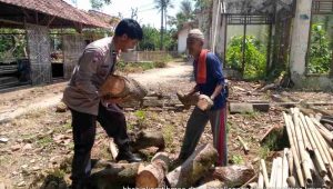 IMG-20230125-WA0345(1)