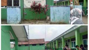 PhotoGrid_Plus_1674208811539(1)