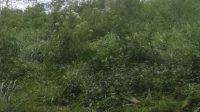 IMG-20230203-WA0201