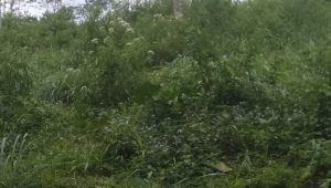IMG-20230203-WA0201