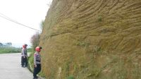 IMG-20230203-WA0207(1)