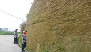 IMG-20230203-WA0207(1)