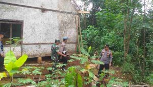 IMG-20230204-WA0295(1)