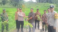 IMG-20230206-WA0082