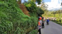 IMG-20230212-WA0341(1)