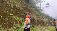 IMG-20230214-WA0294(1)
