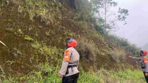IMG-20230214-WA0294(1)
