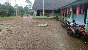 IMG-20230228-WA0254(1)