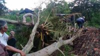 IMG-20230305-WA0352(1)