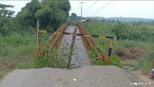 IMG-20230307-WA0259