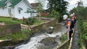 IMG-20230308-WA0051(1)