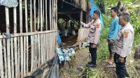IMG-20230313-WA0339(1)
