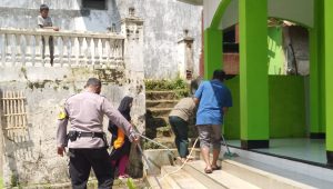 IMG-20230319-WA0144