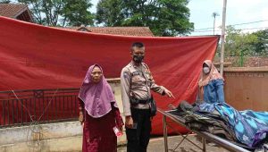 IMG-20230327-WA0150(1)