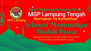 IMG-20230331-WA0695
