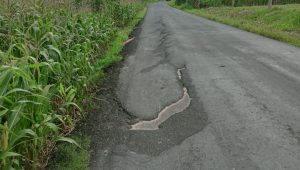 IMG-20230331-WA0851