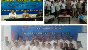 PhotoGrid_Plus_1679143204041(1)