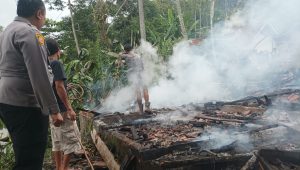 IMG-20230409-WA0771