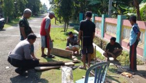 IMG-20230506-WA0021