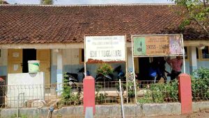 IMG-20230515-WA0128(1)