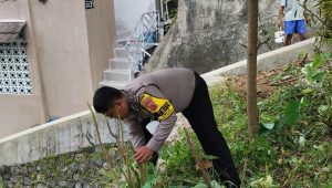 IMG-20230518-WA0117