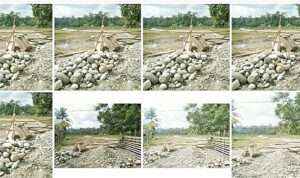 IMG-20230614-WA0063