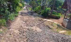 IMG-20230623-WA0041(1)