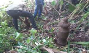 IMG-20230623-WA0054
