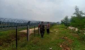 IMG-20230708-WA0005