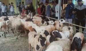 IMG-20230708-WA0014