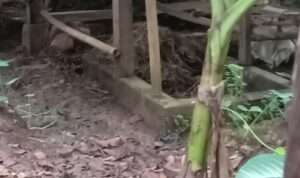 IMG-20230710-WA0031