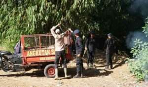 IMG-20230713-WA0031(1)