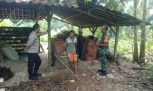 IMG-20230713-WA0177