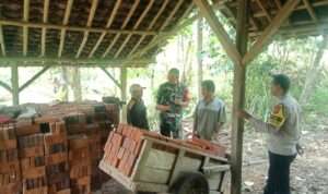 IMG-20230713-WA0178