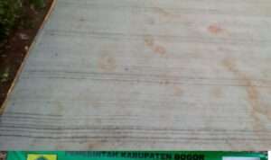 IMG-20230721-WA0036